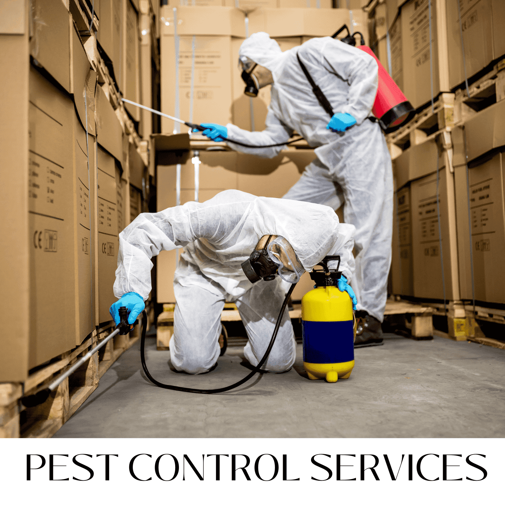 PEST CONTROL